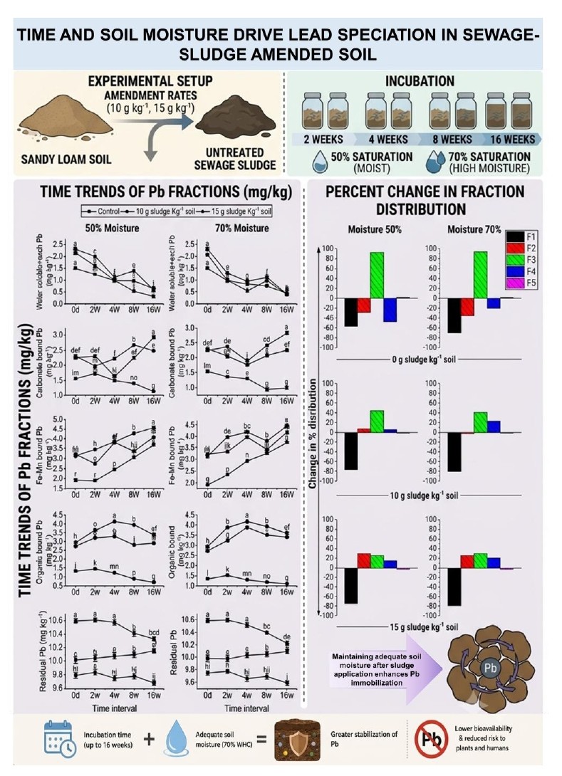 Graphical Abstract