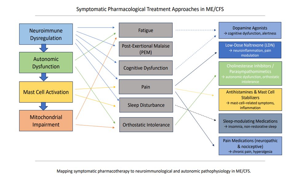 Graphical Abstract
