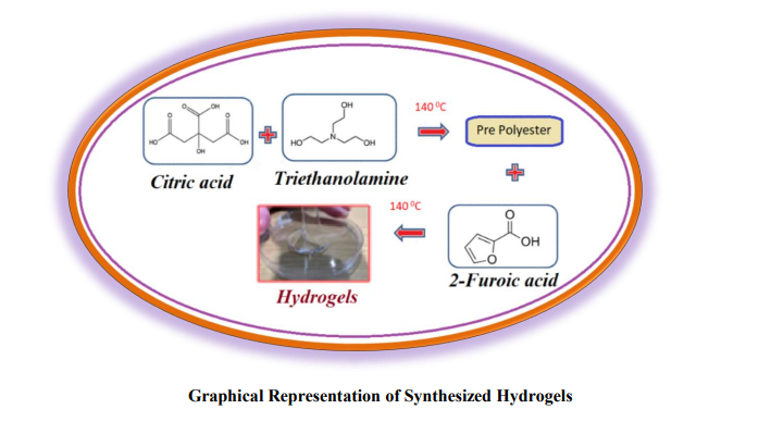 Graphical Abstract
