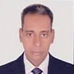 Mohamed Mahmoud Mohamed Abdel-Latif