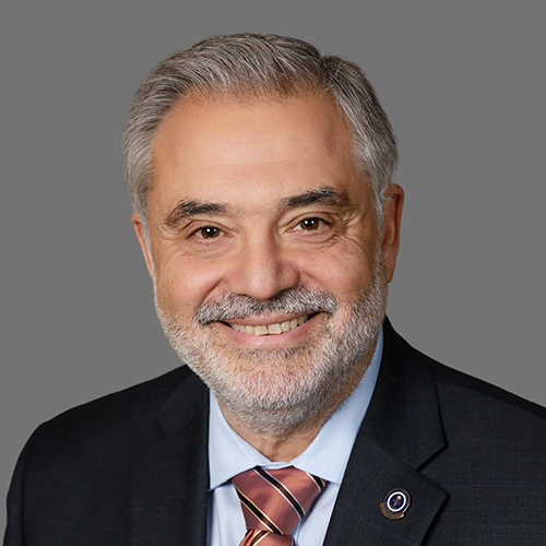 Nadim Z.  Baba