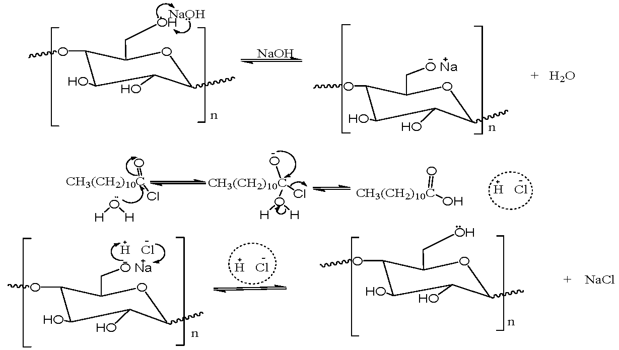 Scheme 1: Mechanism for the Reaction of Cellulose with Lauroyl Chloride in Aqueous Medium.
