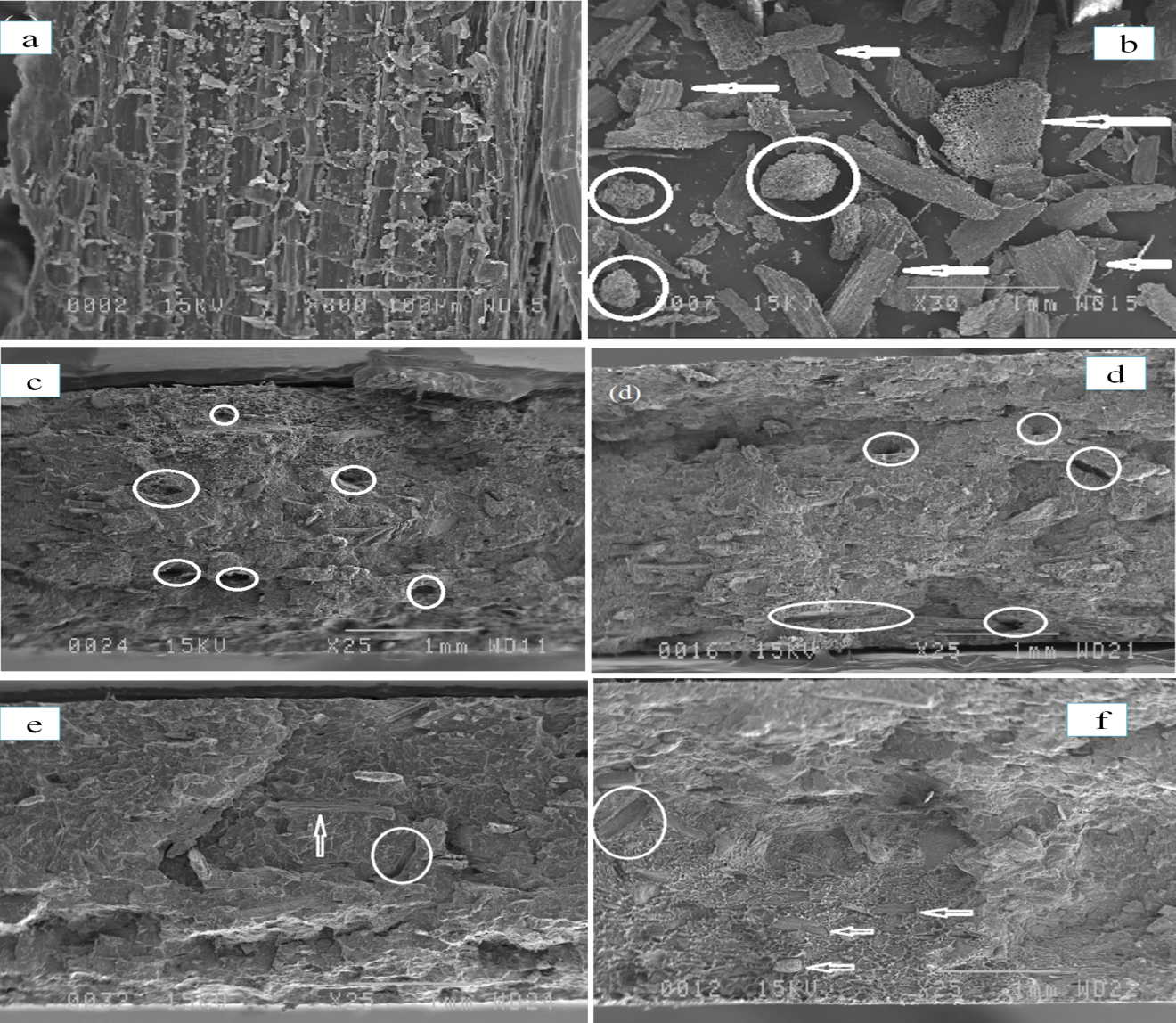 Figure 3: SEM images of hemp composites: (a) unmodified hemp fibers, (b) hemp modified by MAPE in TCB, (c) UT, (d) UTE3S, (e) UTE6S, (f) UTE9S.
