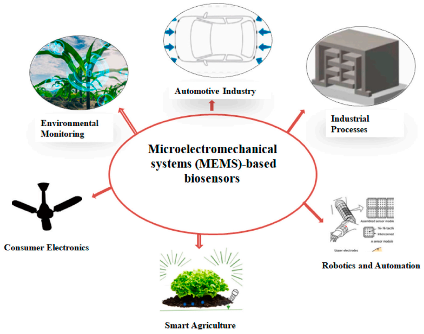 Figure 6: Different applications for biosensors are built using MEMS.
