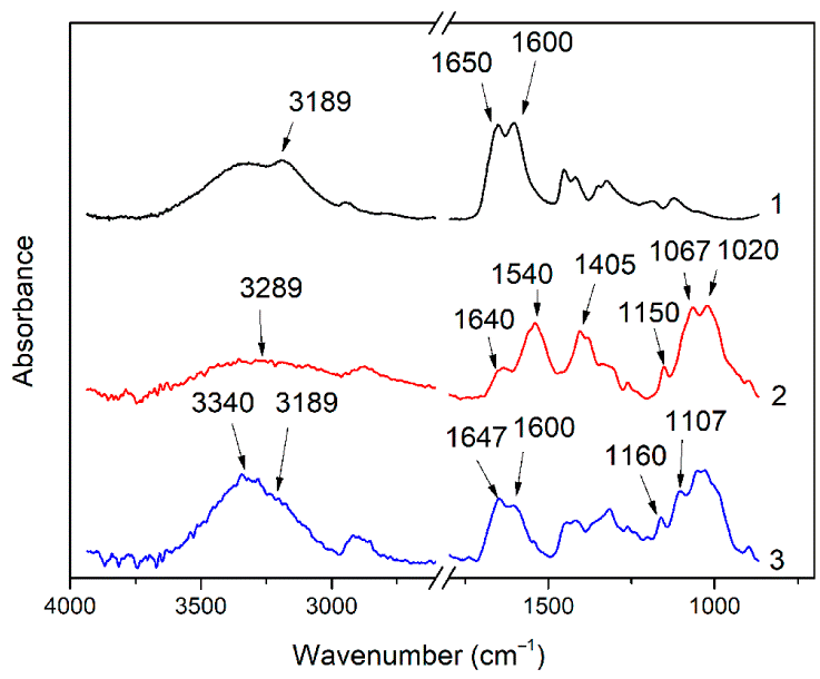 Figure 1: <p>FTIR spectra of PAA (1), chitosan (2), and the chitosan/PAA copolymer (3).</p>

