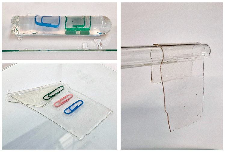 Figure 5: <p>The photographs of different shaped gels.</p>
