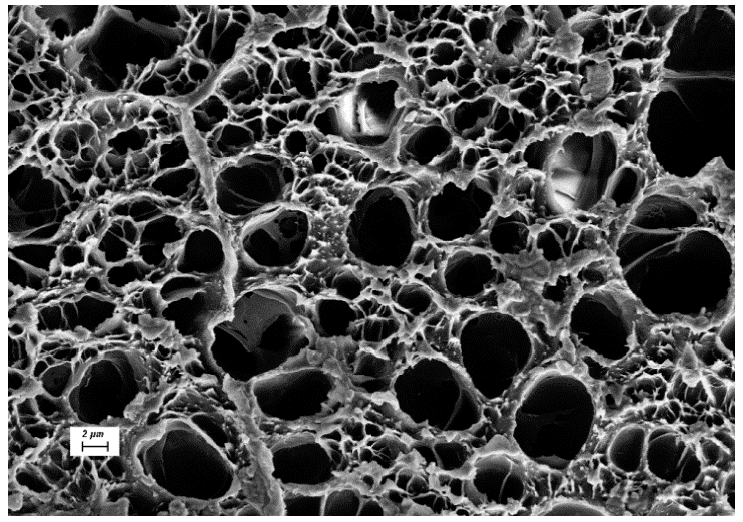 Figure 9: <p>SEM micrographs of the chitosan/PAA hydrogel surface.</p>
