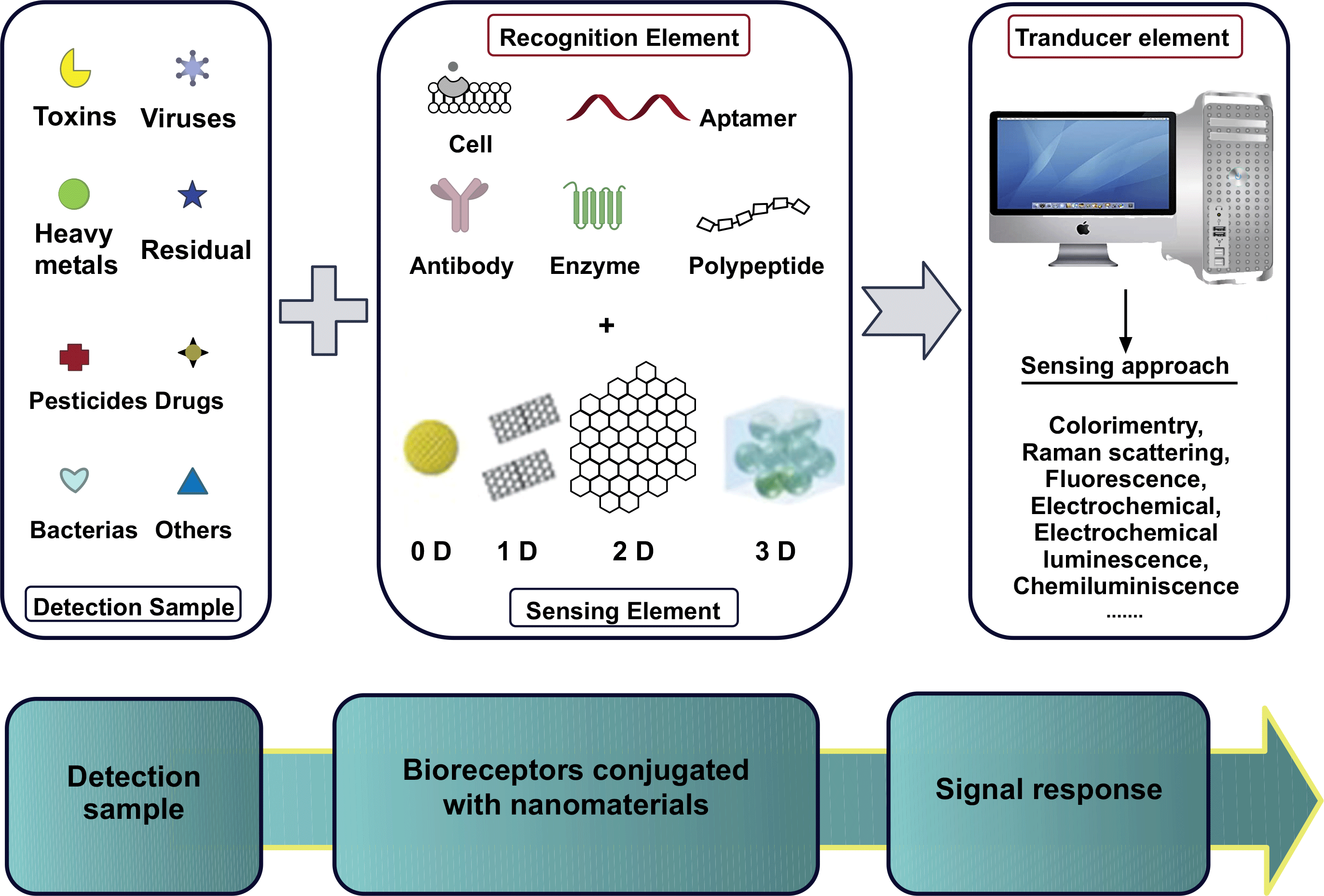 Figure 5: Schematic representation of the steps in constructing sensors and biosensors that utilize nanomaterials (adapted from [145], Copyright &copy; 2022 by the authors).