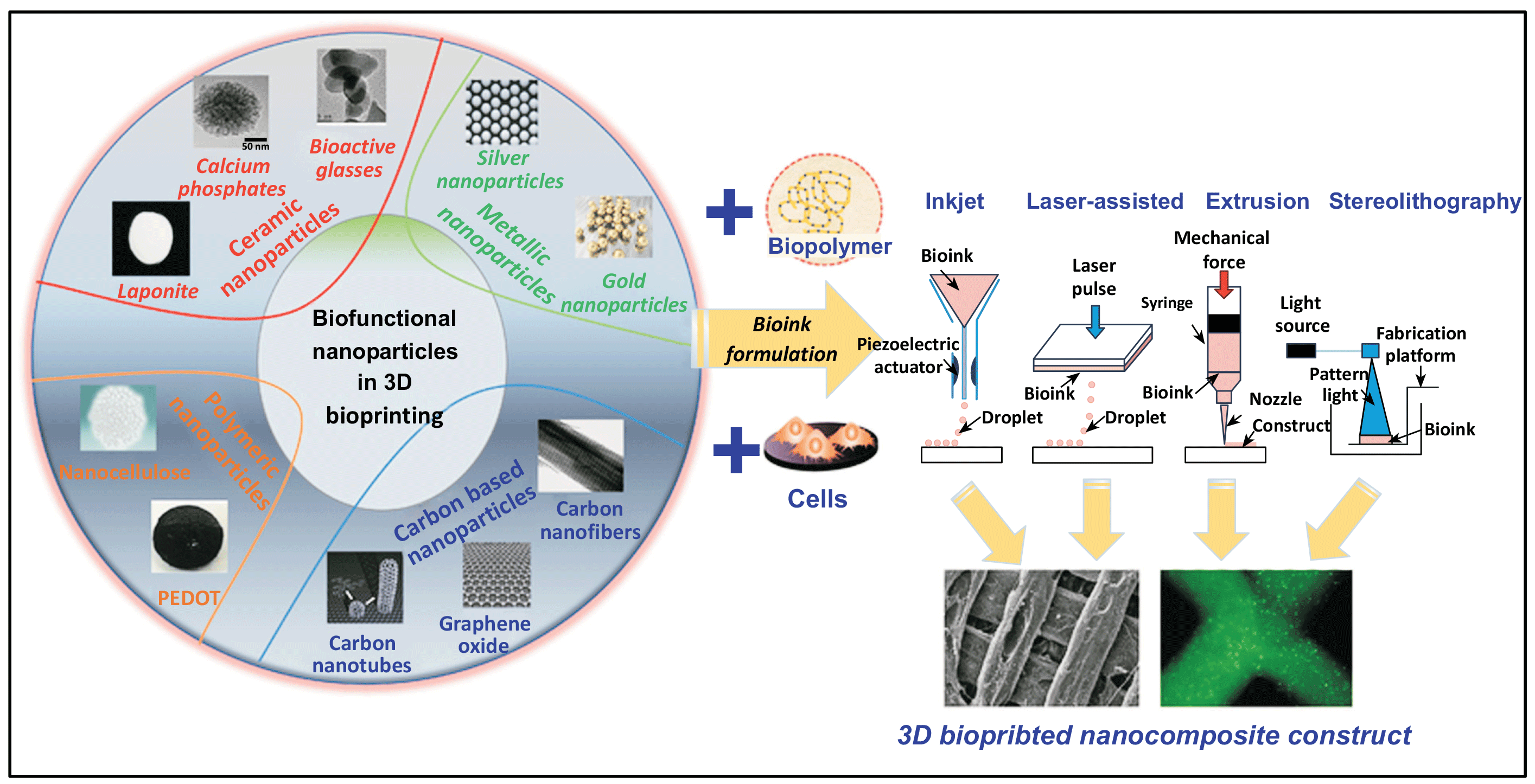 Figure 6: Schematic of 3D bioprinting of nanocomposite structures using ceramic, metallic, polymeric, or carbon-based nanomaterials combined with biopolymers and cells via inkjet, laser-assisted, extrusion-based, or stereolithography methods (adapted from [180], Copyright &copy; 2023 by the authors).