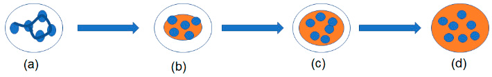Figure 5: Step of agglomeration growth in spherical crystallization technique (a) collision of crystals in solvent, (b) surface coverage of droplets on particles, (c) immersion of crystals in binder droplets, (d) complete immersion of crystals in binder droplets.