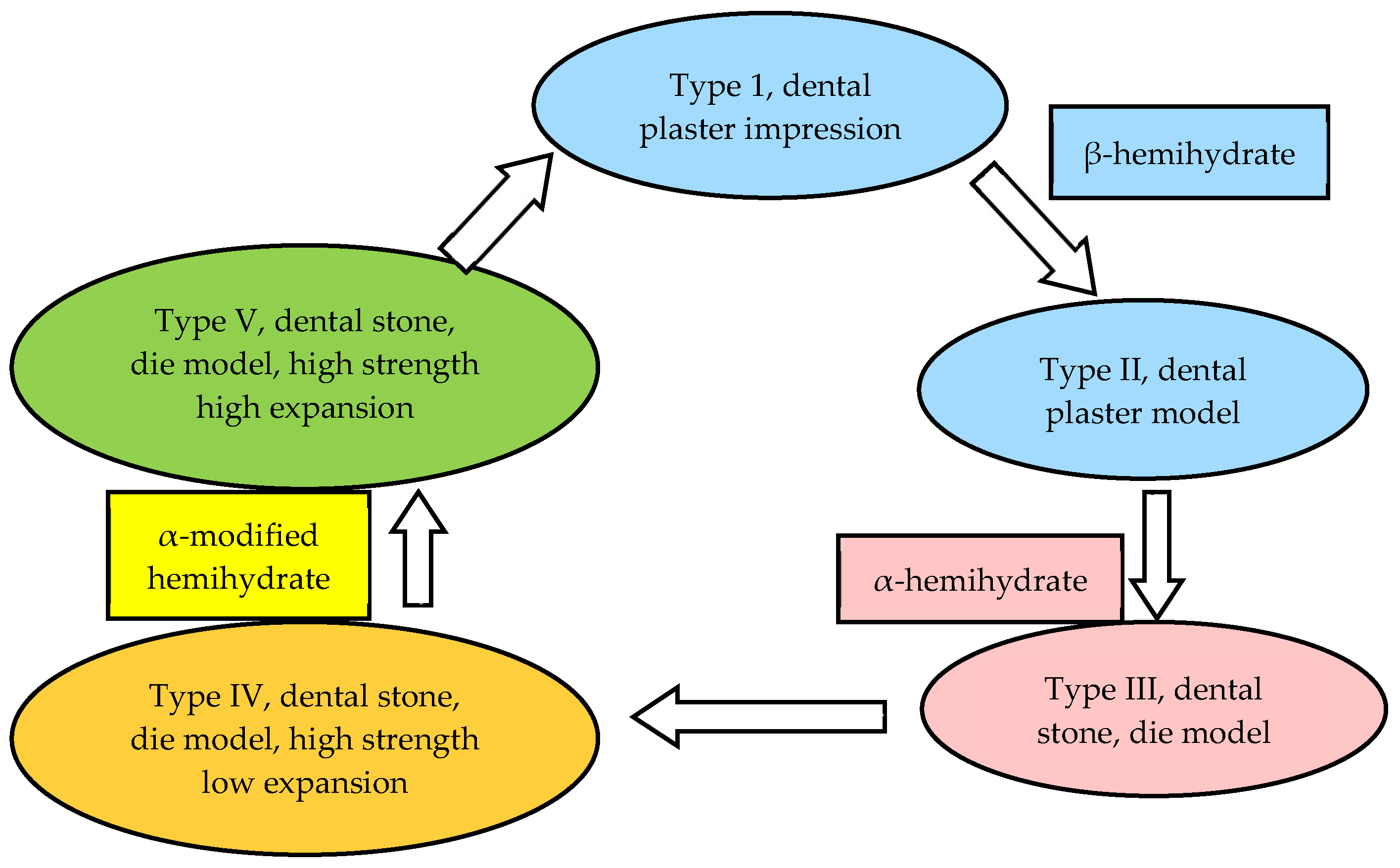 Figure 1: <p>Various types of dental gypsums.</p>