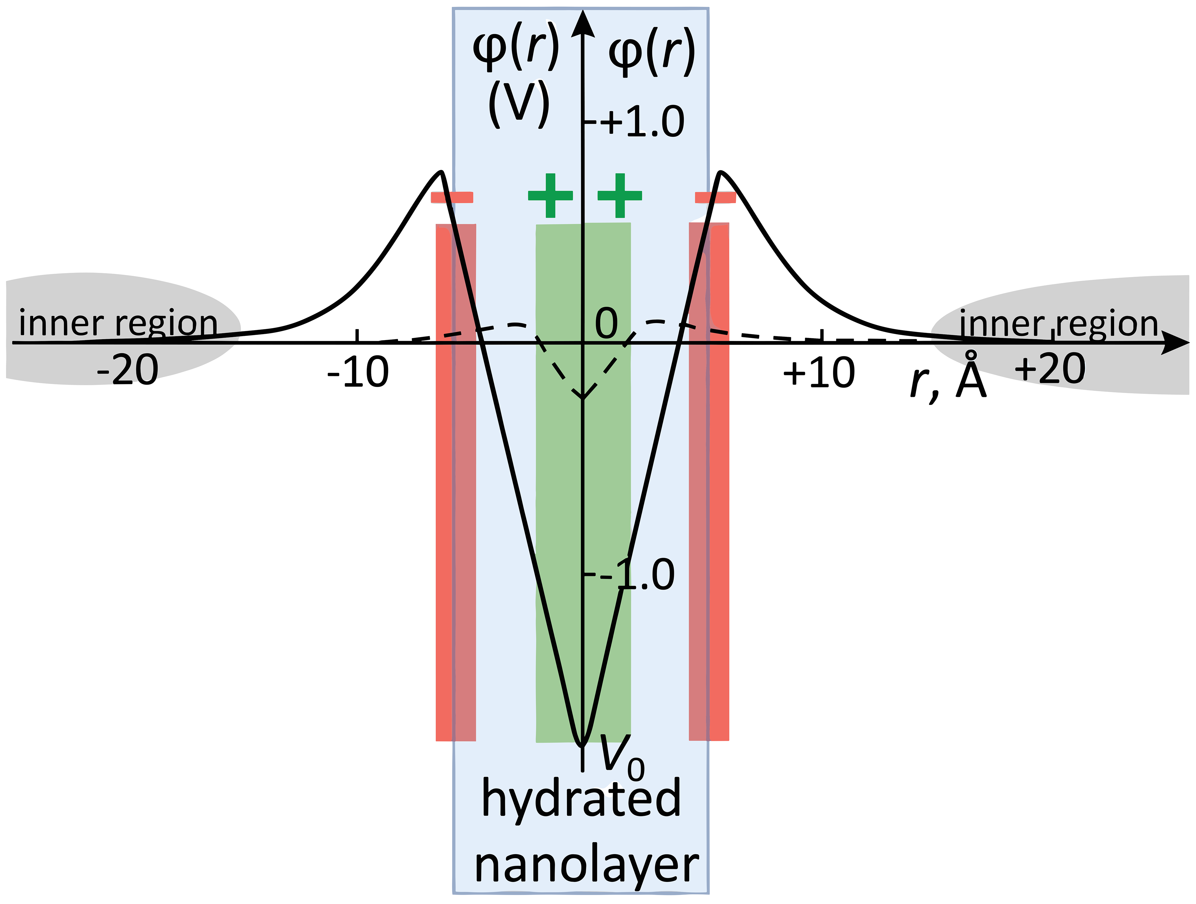 Figure 5: <p>Schematic presentation of the potential 
            <math xmlns="http://www.w3.org/1998/Math/MathML" id="mm34">
              <semantics>
                <mrow>
                  <mi>&phi;</mi>
                  <mo>(</mo>
                  <mi>r</mi>
                  <mo>)</mo>
                </mrow>
              </semantics>
            </math>
           in young (solid line) and mature bone (dashed line). Hydrated nanolayers are shown in light blue.</p>