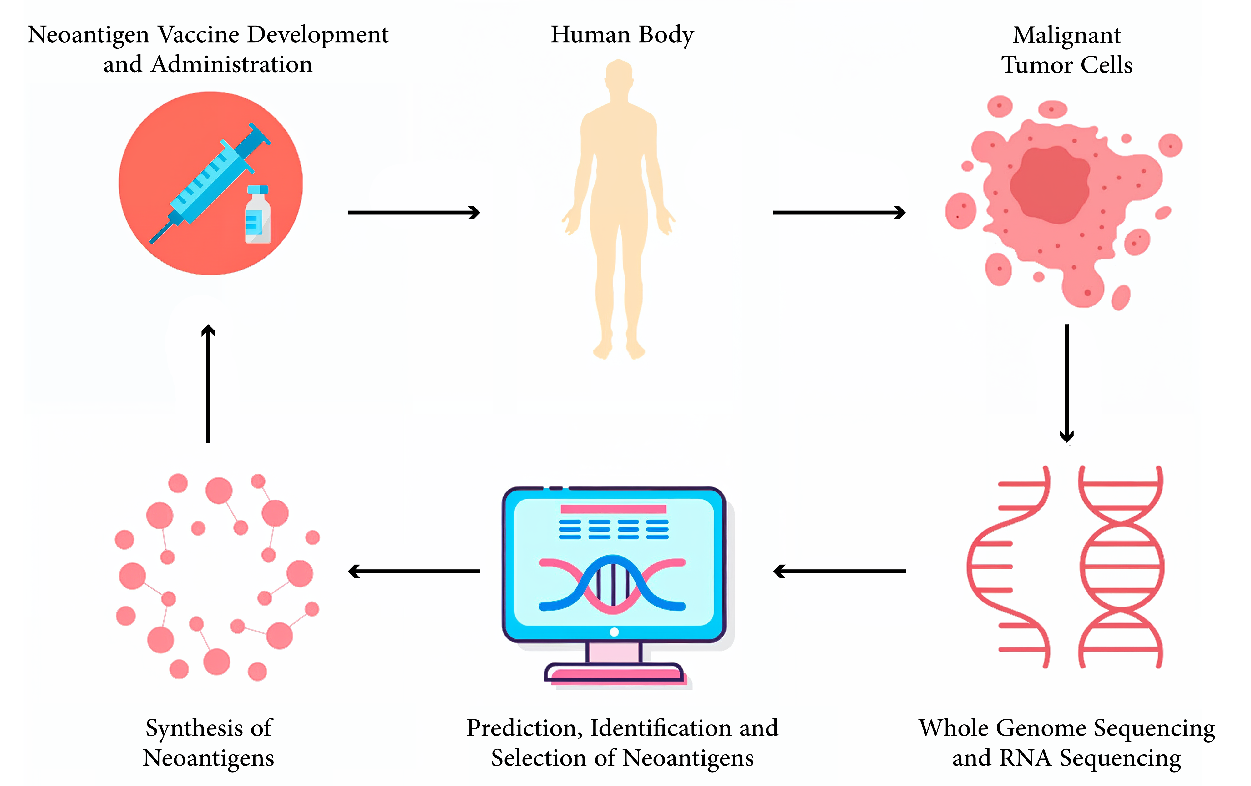 Figure 1: Overview of Neoantigen Vaccine Development Workflow.
