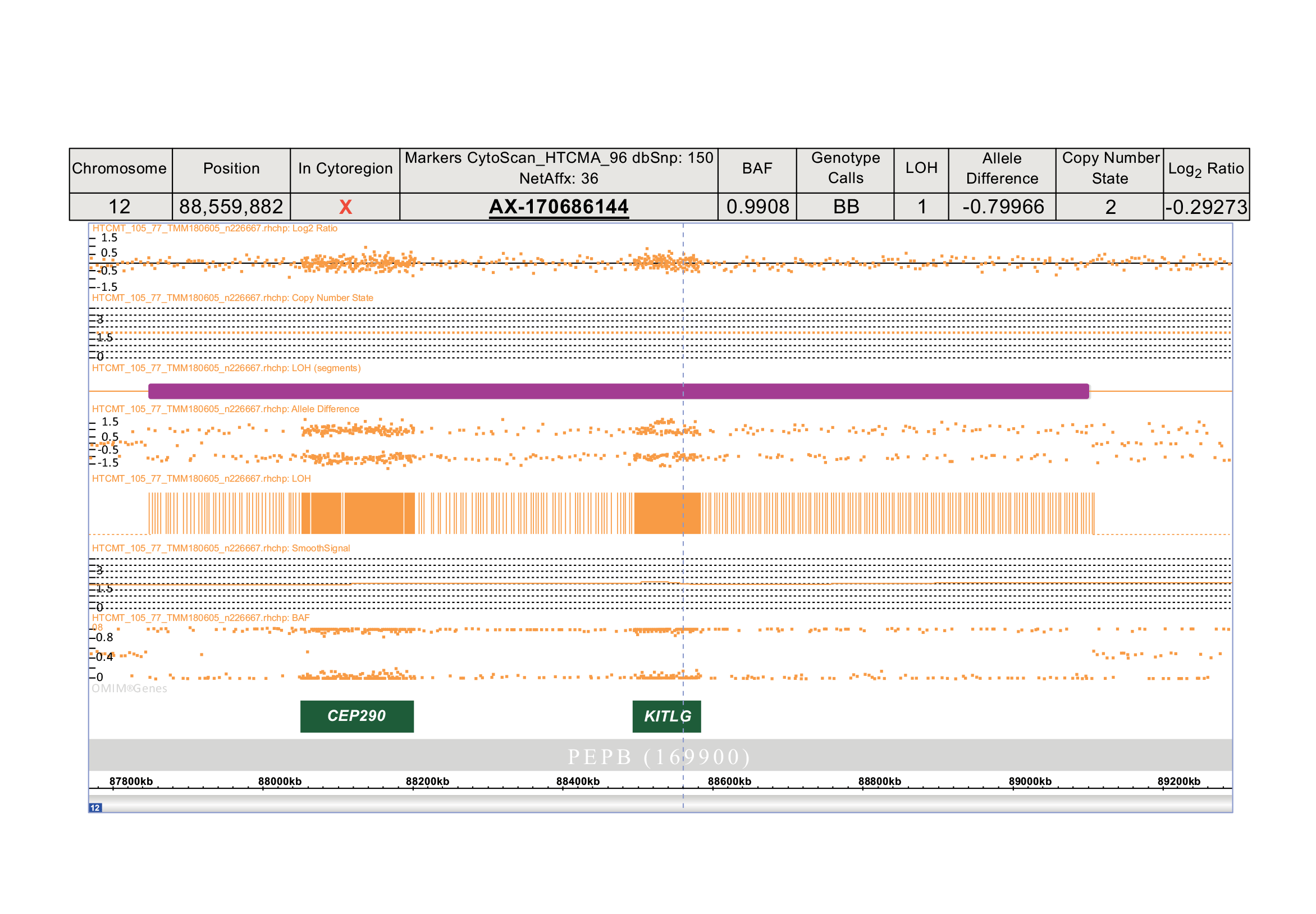 Figure 1: <p>Analysis of the rs4590952 polymorphism in ChAS software (v.4.3.0.71). The region of interest on chromosome 12 is shown. The rs4590952 polymorphism (chr12:88559882 (GRCh38/hg38), CytoScan&trade; HT-CMA marker AX-17068144) is marked by the blue dashed line and is identified as having the BB (GG) allelic variant (panel above). An expanded view demonstrating that the <em>KITLG</em> gene is located within a region of loss of heterozygosity (LOH), approximately 1 megabase in size.</p>
