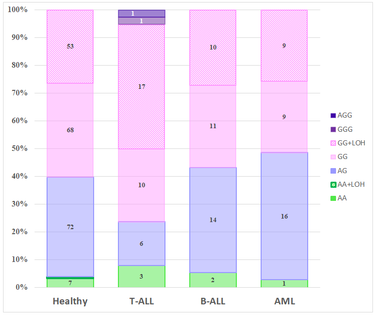 Figure 3: <p>Genotype distribution of the rs4590952 polymorphism across the study cohorts. The figure legend is displayed on the right, and the absolute counts for each genotype group are overlaid on the respective colored bars.</p>