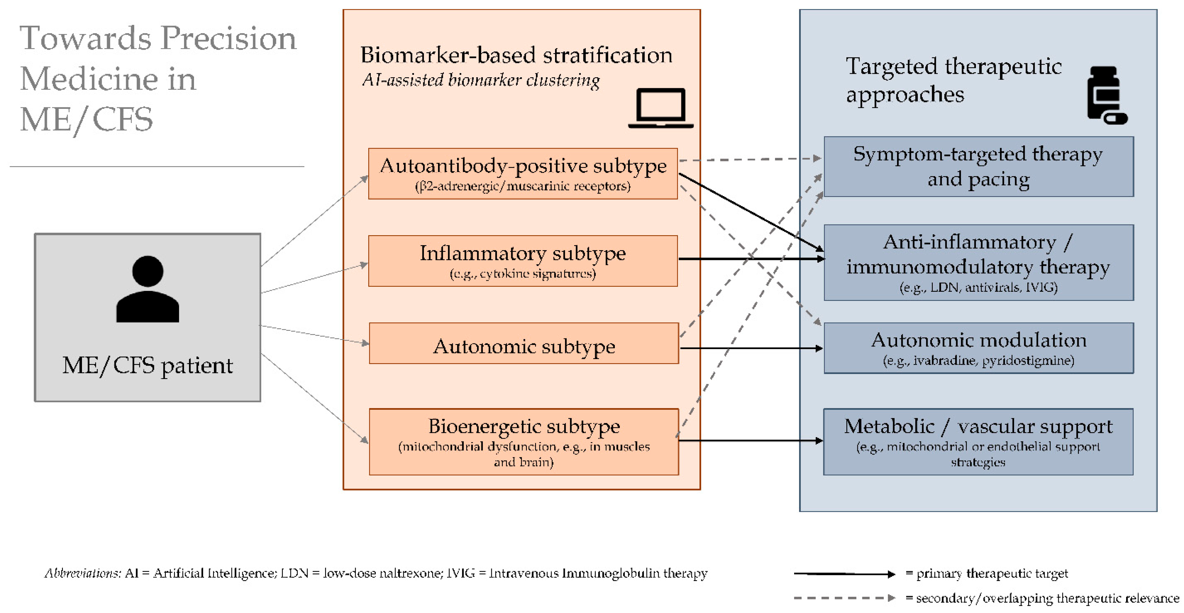 Figure 1: <p>Conceptual framework for biomarker-based stratification and subtype-oriented therapeutic targeting in ME/CFS. AI-assisted clustering may identify immunological, autonomic, and bioenergetic subtypes linked to overlapping targeted treatment approaches.</p>