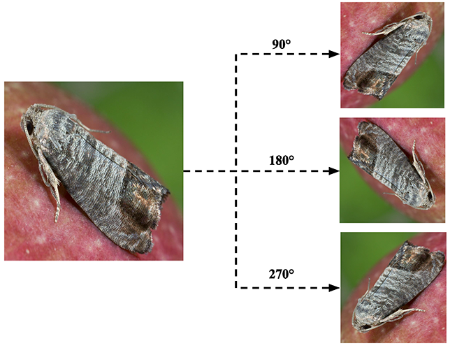 Figure 3: <p>Interface layer protections and security test workflow.</p>