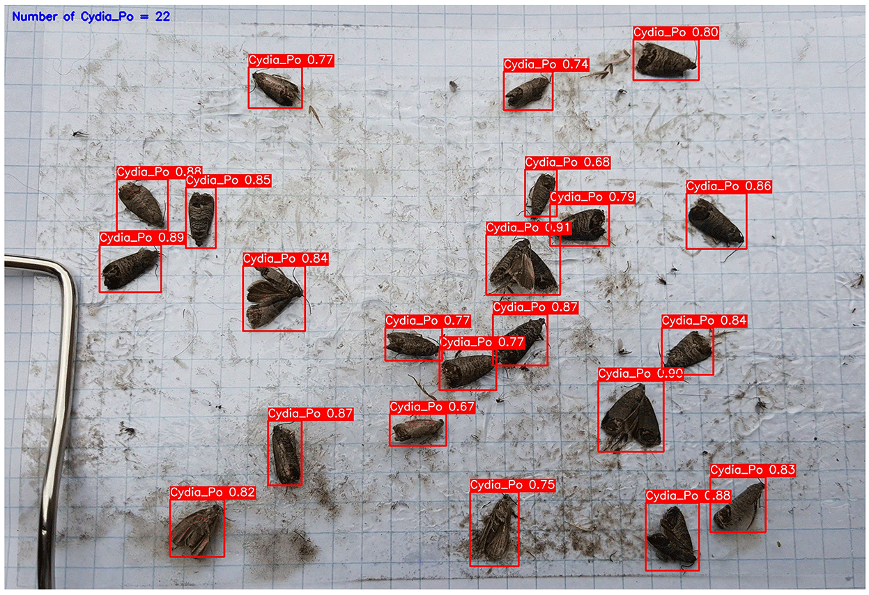 Figure 13: <p>Performance evaluation of the YOLOv6m model in detecting cydia pomonella pests (adapted from [<a href="#ref74">74</a>]).</p>