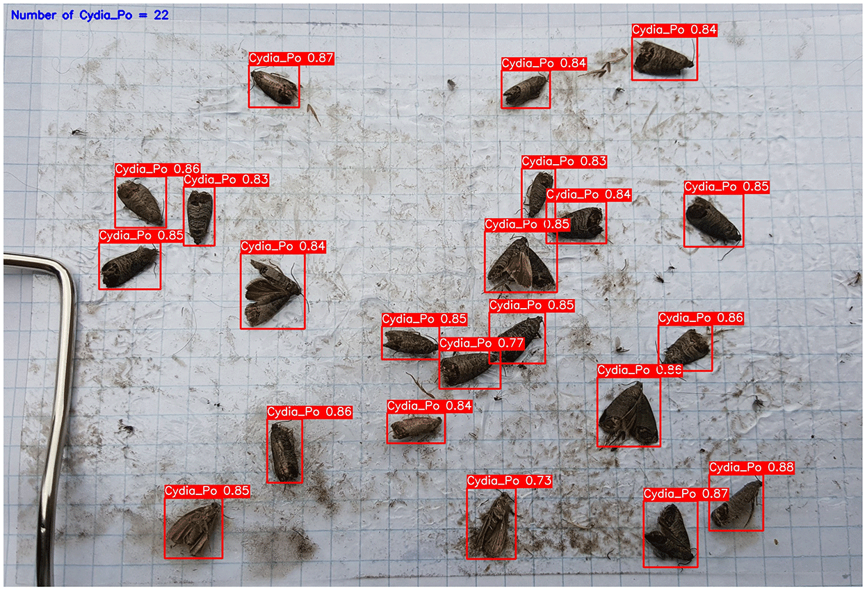 Figure 14: <p>Performance evaluation of the YOLOv8m model in detecting cydia pomonella pests (adapted from [<a href="#ref74">74</a>]).</p>
