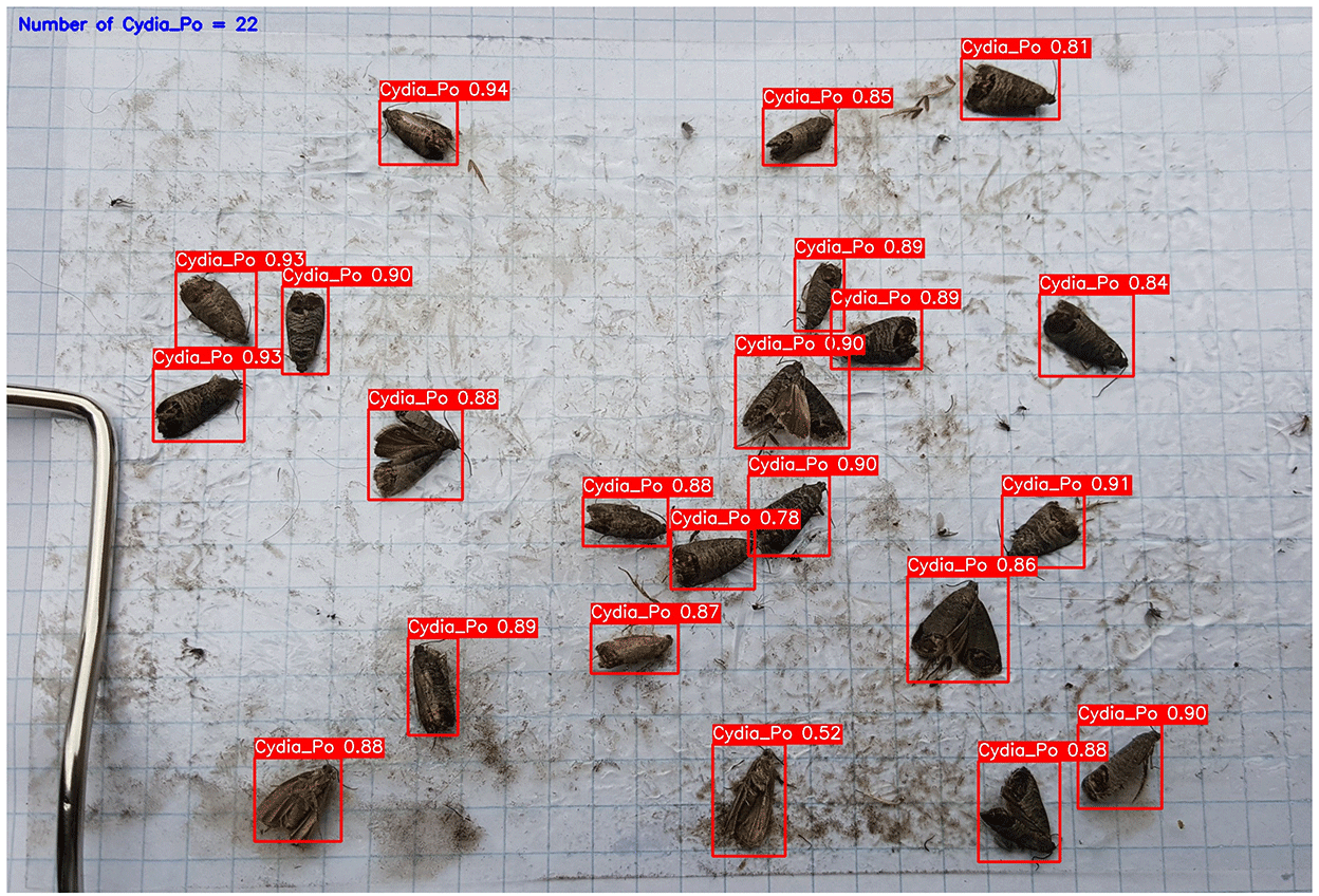 Figure 16: <p>Performance evaluation of the YOLOv10m model in detecting cydia pomonella pests (adapted from [<a href="#ref74">74</a>]).</p>