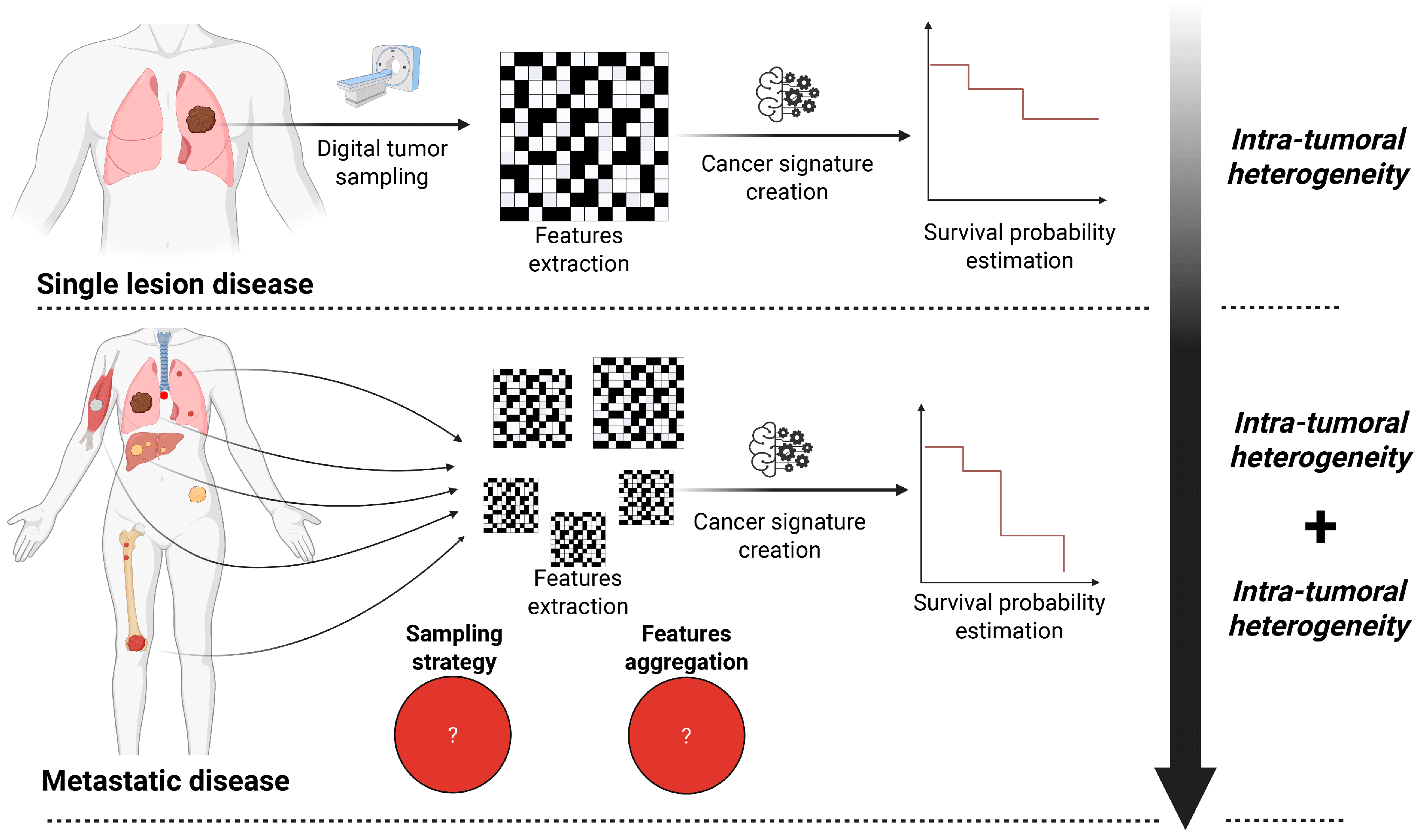 Figure 1: <p>Comparison of radiomic analysis pipelines in single lesion and metastatic disease (reused from T. Henry et al., This is an open access article distributed under the terms of the Creative Commons CC BY license, which permits unrestricted use, distribution, and reproduction in any medium, provided the original work is properly cited [<a href="#ref47">47</a>].</p>