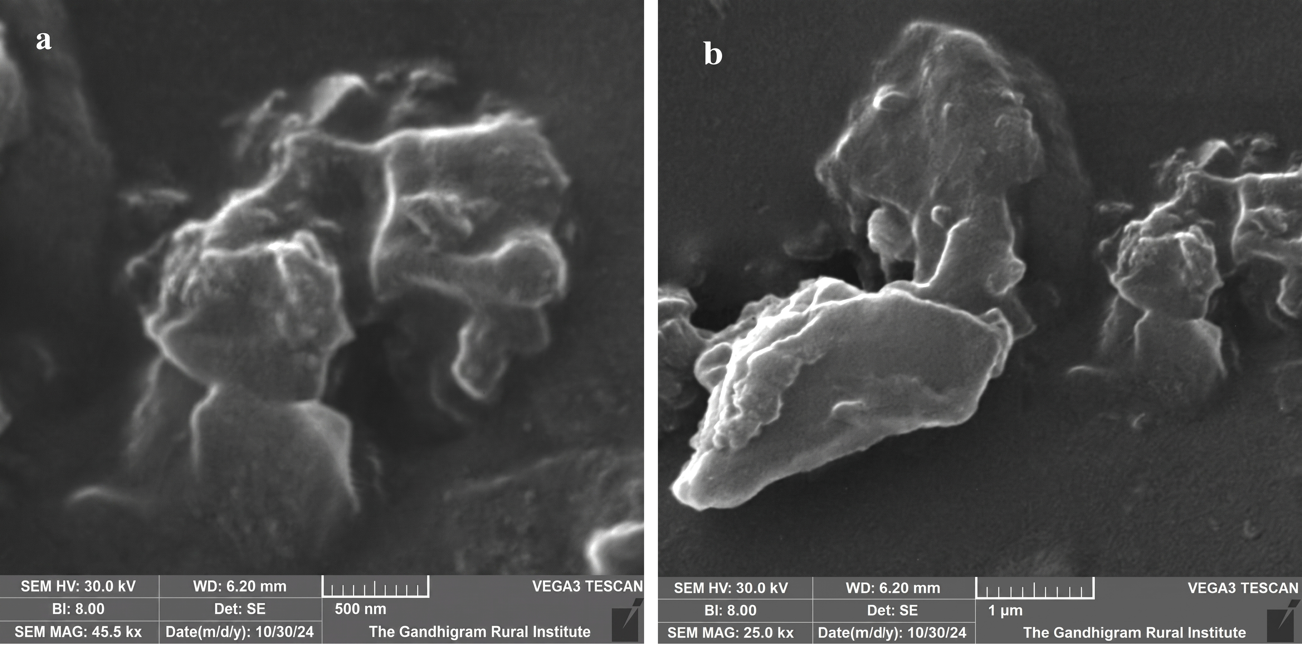 Figure 3: <p>SEM analysis of [CA4-ZnO] nanocomposite hydrogels of CA<sub>4</sub>Z<sub>3</sub>.</p>