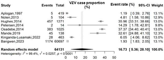 Figure 2: <p>Pooled estimate of the prevalence rate of varicella-zoster virus isolated among suspected Mpox cases in DRC.</p>
