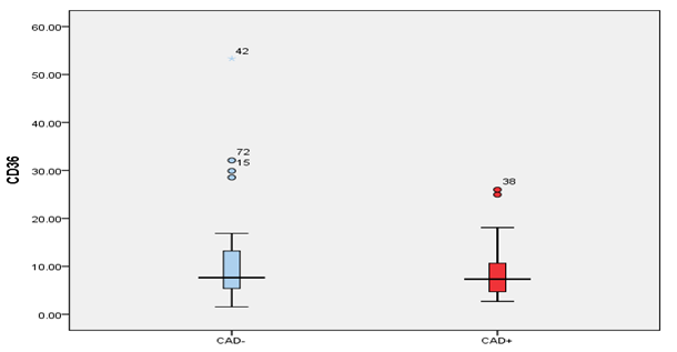 Figure 4: CD36 cell surface marker. The expression of the CD36 cell surface marker in CAD+ (27.34 ± 11.62) was lower than in CAD- (33.06 ± 10.08), but this difference was not statistically significant (p = 0.22).
