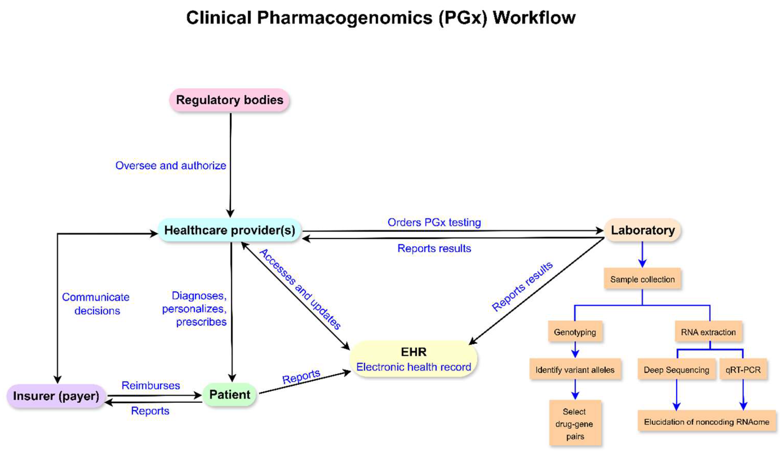 Figure 1: Workflow for clinical pharmacogenomics. Adapted from [63,64].