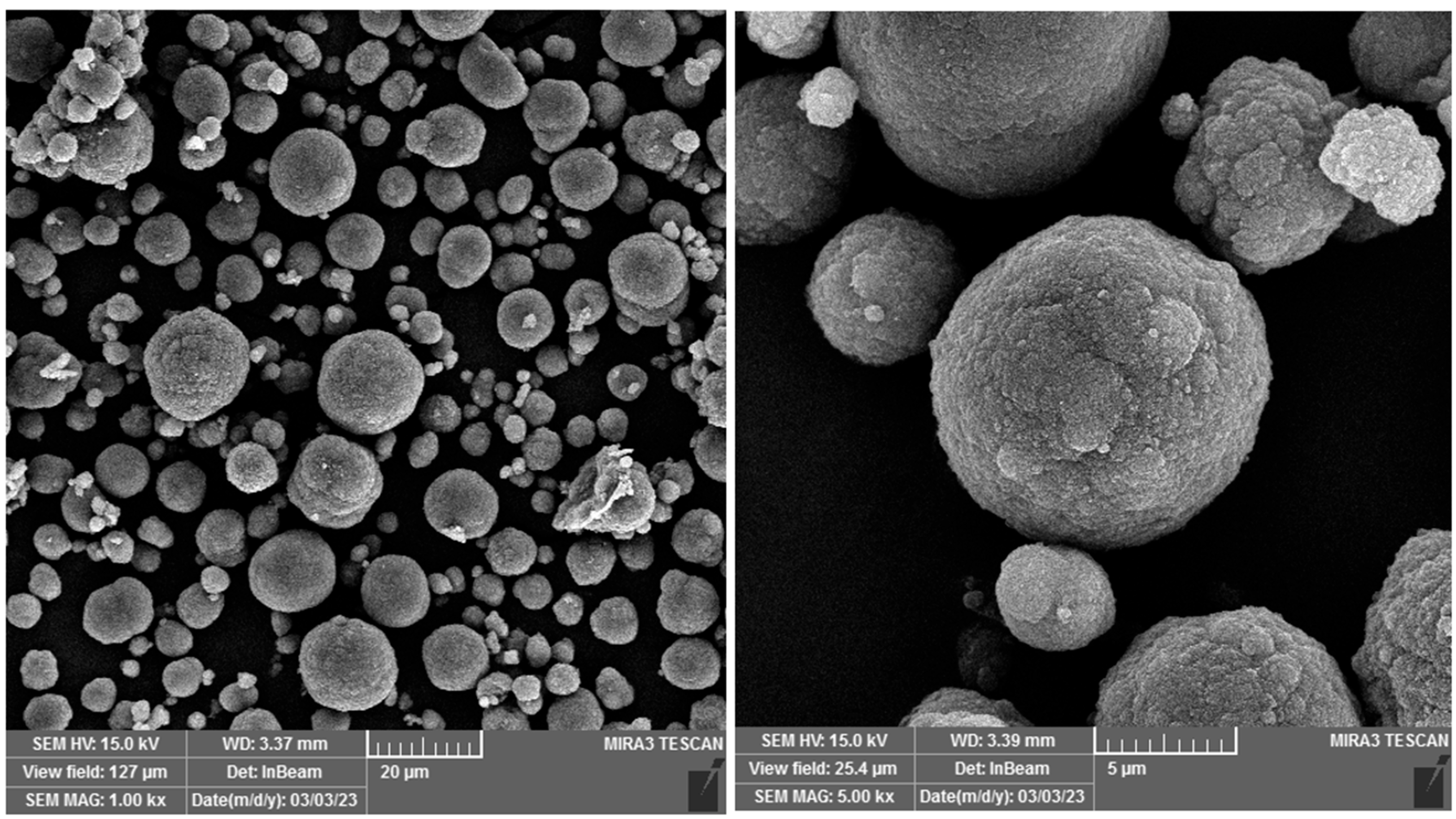 Figure 1: <p>FE-SEM Image of gold nanoparticles.</p>