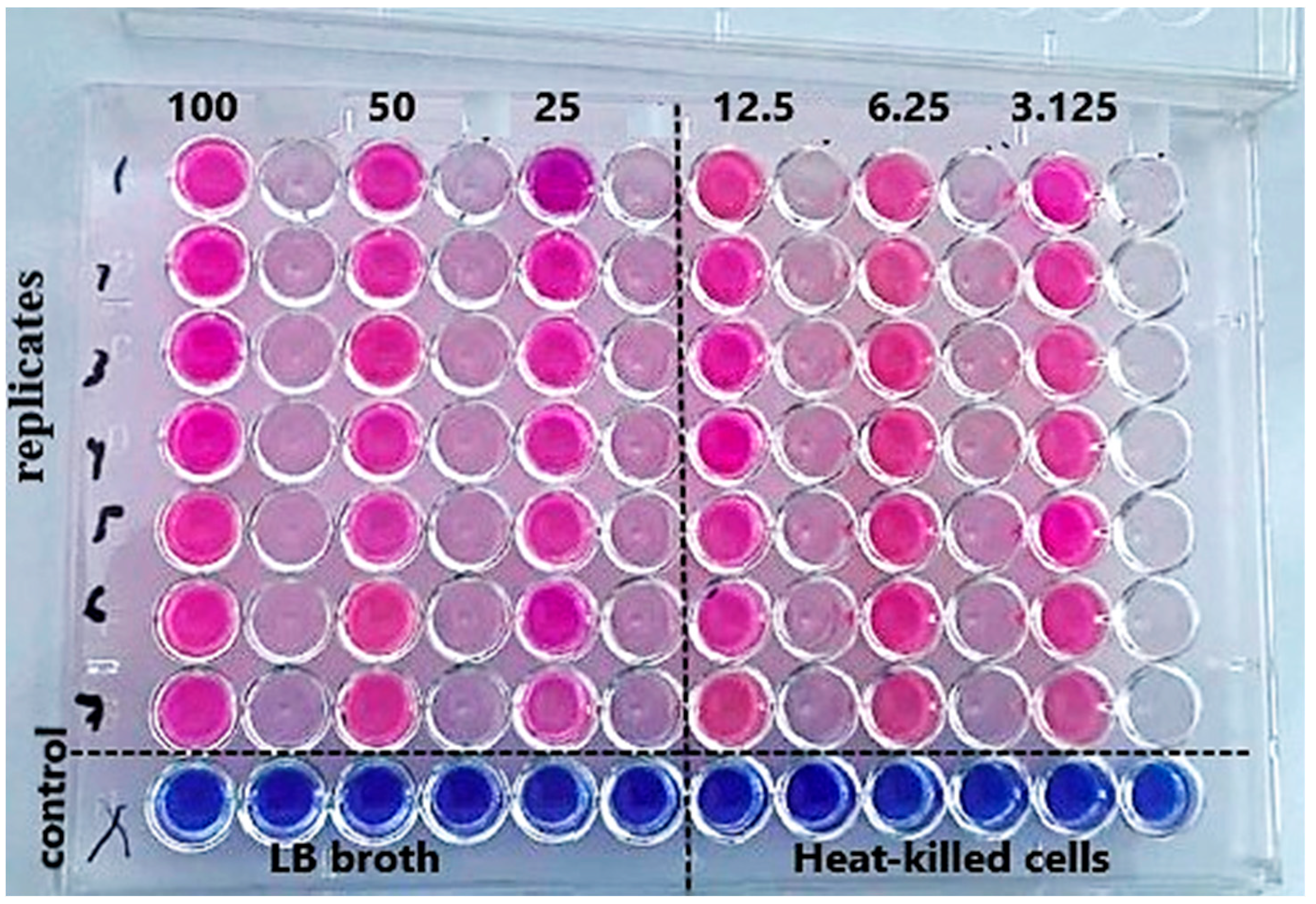 Figure 3: <p>Effect of AuNPs on <em>P. aeruginosa</em> isolate viability.</p>