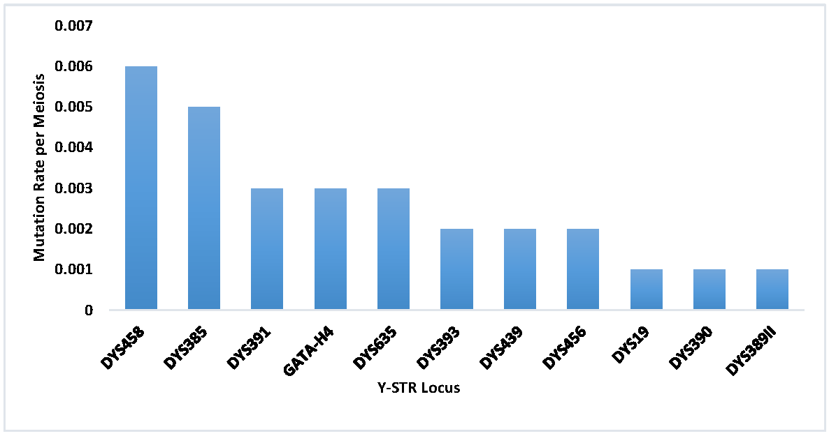 Figure 2: <p>Per-locus Y-STR mutation rates observed among the studied population.</p>