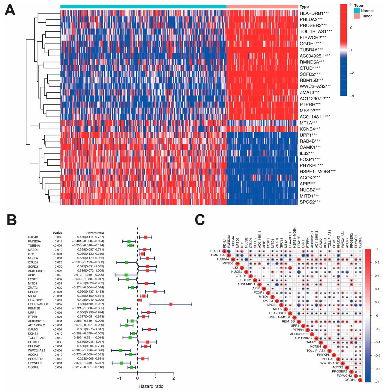 Figure 1: Expression of genes associated significantly with Uveal melanoma. (A) Genes with significant expression levels between normal tissue and Uveal melanoma. (B) Prognostic RNAs related to Uveal melanoma. (C) The corrections between prognostic genes. *** p < 0.001.
