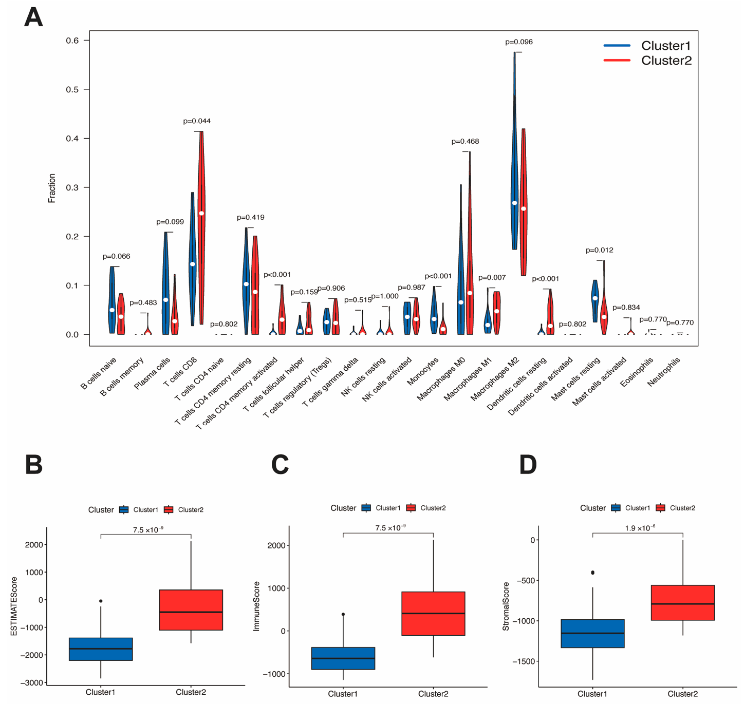 Figure 5: Correction between subtypes and level of immune cell infiltration in the TIME. (A) The fraction of different immune cells in cluster1 and cluster2. (B–D): Difference of ESTIMATEScore, immuneScore and StronalScore in two clusters.
