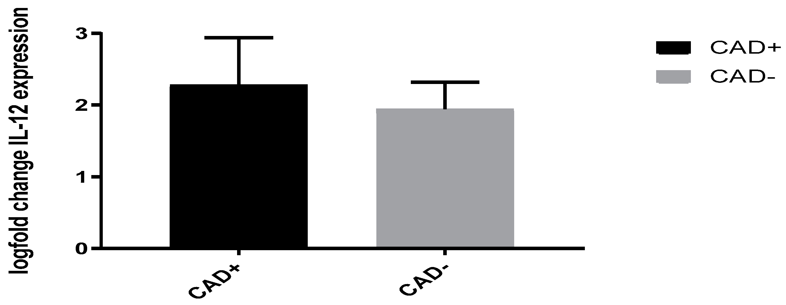 Figure 1: IL12 gene expression in individuals with coronary artery disease as opposed to individuals without coronary artery disease. No notable distinction was seen in IL12 gene expression CAD+ versus CAD- (p = 0.67).
