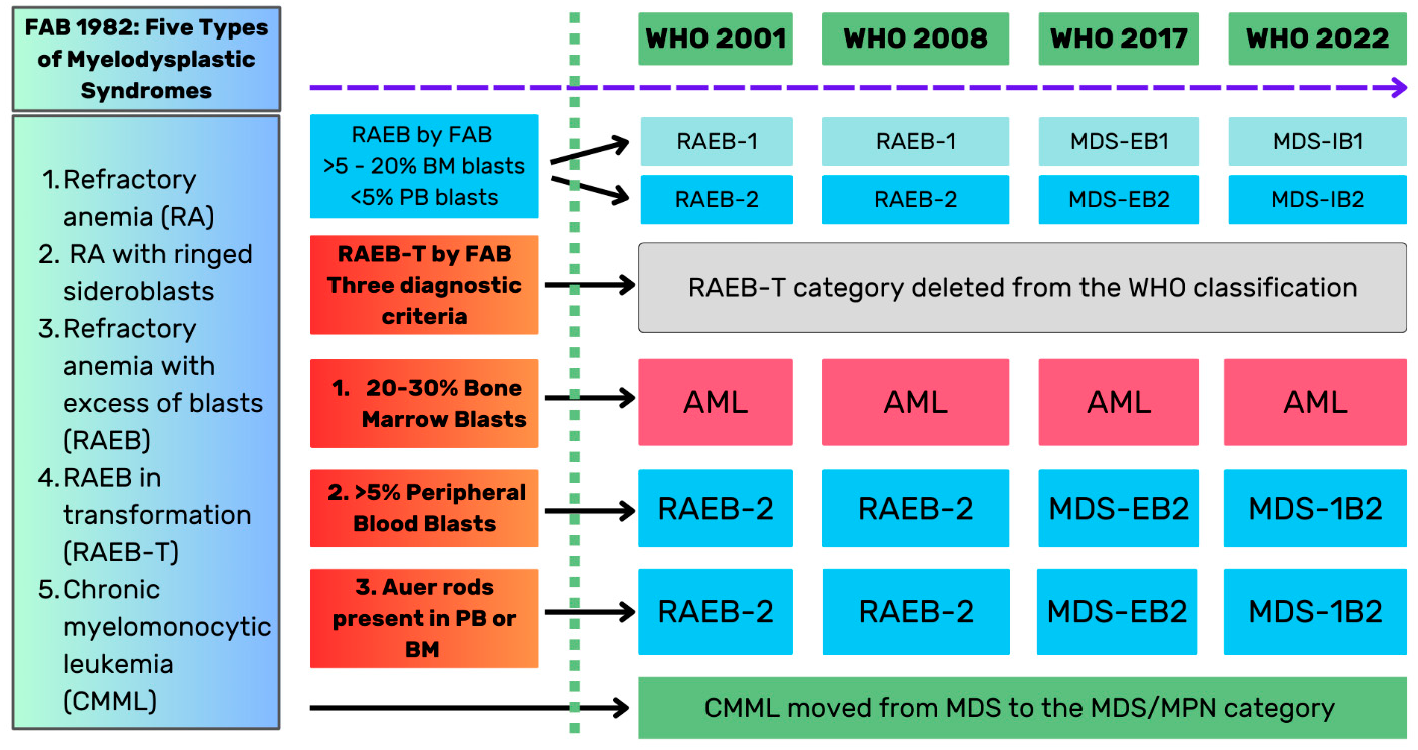 Figure 1: This figure depicts the five types of myelodysplastic syndromes described by the FAB classification in 1982 [22] and the changes made in the FAB categories of refractory anemia with excess of blasts (RAEB) and RAEB in transformation (RAEB-T) by the World Health Organization (WHO) classification in 2001 [25,26,27], which were retained in the updates of the WHO classification in 2008 [29,30], 2017 [31,32], and 2022 [33,34], except for terminology changes from RAEB-2 to MDS with excess blasts-2 (MDS-EB2) in WHO 2017 and MDS with increased blasts-2 (MDS-IB2) in the WHO 2022 classification. Abbreviations: FAB, French-American-British; WHO, World Health Organization; RAEB, refractory anemia with excess of blasts; RAEB-T, refractory anemia with excess of blasts in transformation; BM, bone marrow; PB, peripheral blood; RAEB-1, refractory anemia with excess blasts-1; RAEB-2, refractory anemia with excess blasts-2; MDS-EB1, MDS with excess blasts-1; MDS-EB2, MDS with excess blasts-2; MDS-IB1, MDS with increased blasts-1; MDS-IB2; MDS with increased blasts-2; AML, acute myeloid leukemia; MDS/MPN, myelodysplastic syndrome/myeloproliferative neoplasm.
