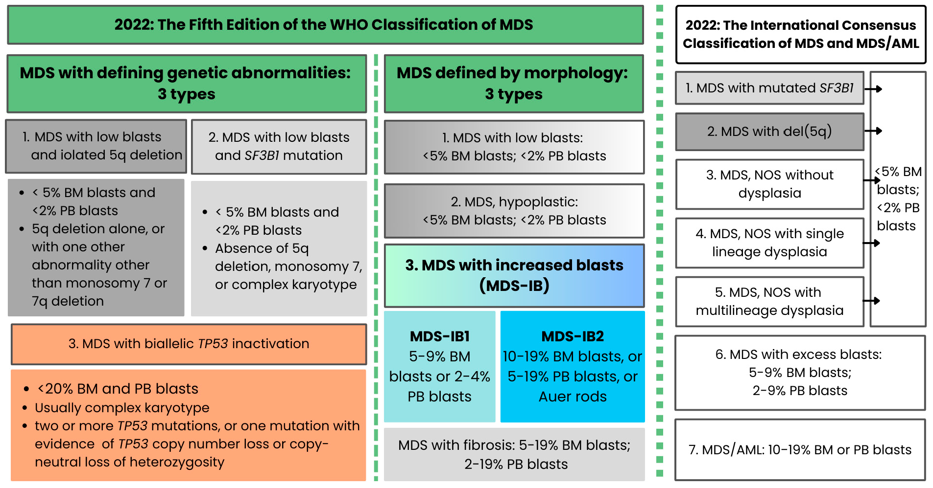 Figure 2: The left part of this figure depicts the three types of MDS defined by genetics and the three types defined by morphologic evaluation in the WHO 2022 classification [33,34]. MDS defined by morphology includes MDS with increased blasts-1 (MDS-IB1) and MDS with increased blasts-2 (MDS-IB2), with the latter including Auer rods as a sole diagnostic criterion [33,34], similar to the revised fourth edition of the WHO classification published in 2017 [32]. The main types of MDS and MDS/AML defined by the International Consensus Classification (ICC) in 2022 are shown in the right part of the figure [35]. Abbreviations: WHO, World Health Organization; MDS, myelodysplastic neoplasms or myelodysplastic syndromes; BM, bone marrow, PB, peripheral blood; MDS-IB1, MDS with increased blasts-1; MDS-IB2, MDS with increased blasts-2; NOS, not otherwise specified; MDS/AML, MDS/acute myeloid leukemia category in the ICC [35].
