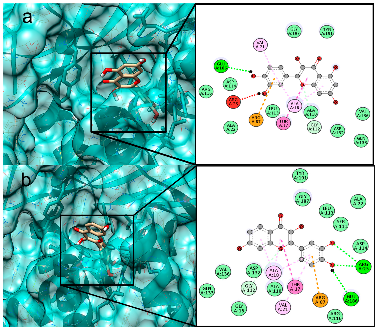 Figure 2: <p>Maps of interactions with the amino acid residues of the catalytic site of the ML2640c protein (PDB ID: 2UYO). (<strong>a</strong>) Quercetin and (<strong>b</strong>) Fisetin. <strong>Font:</strong> BIOVIA, 2024.</p>
