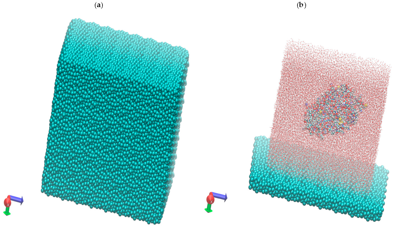 Figure 1: (a,b) The general molecular design of the ADH+NAD+water+carbon graphite surface system.
