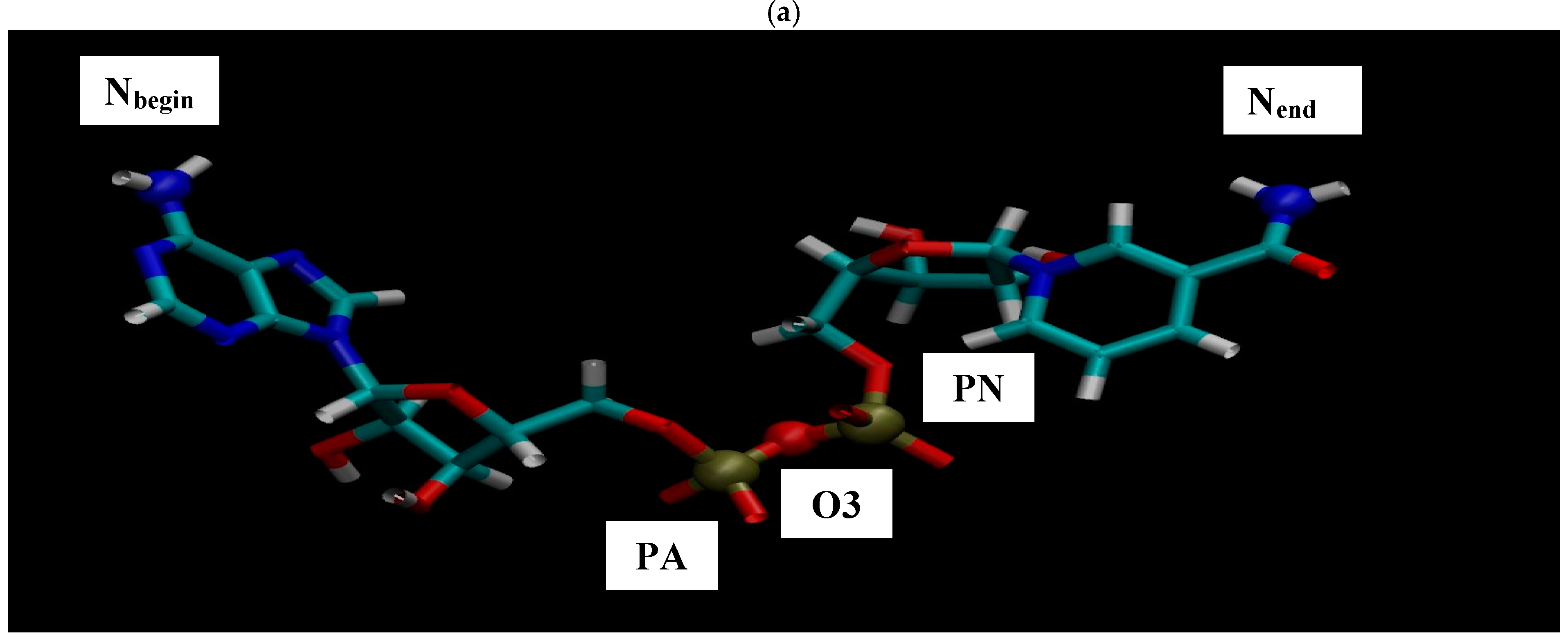 Figure 4: The structure of NAD with the arrangement of atoms from the beginning to the end of the molecular chain (a). The dynamics of the angle of the structure of NAD as a function of time (b).
