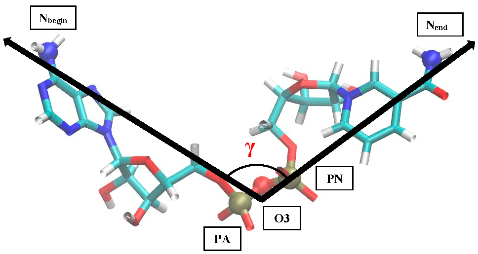 Figure 8: The structure of NAD with highlighted atoms and a torsion angle.
