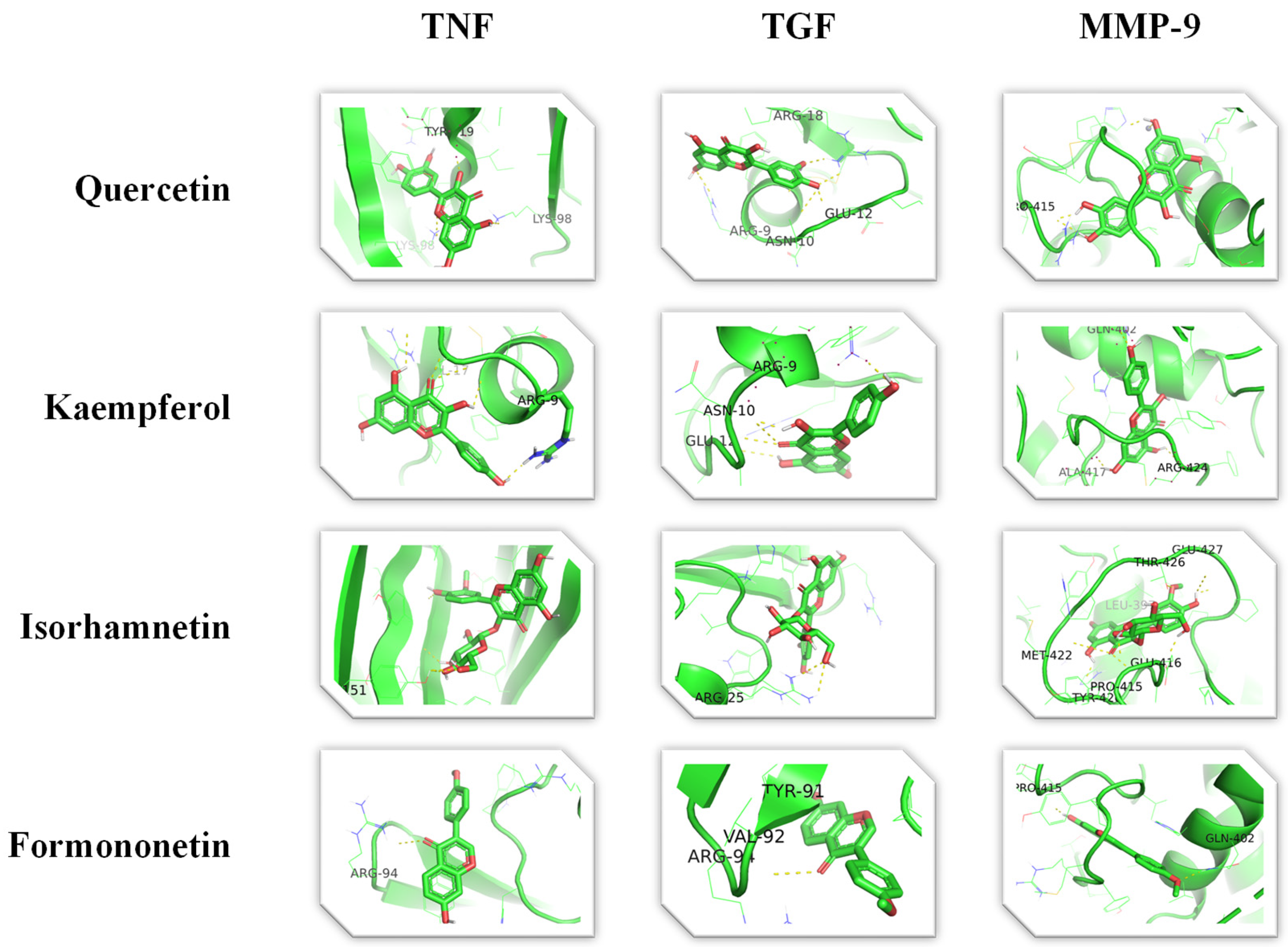 Figure 6: <p>Molecule docking.</p>
