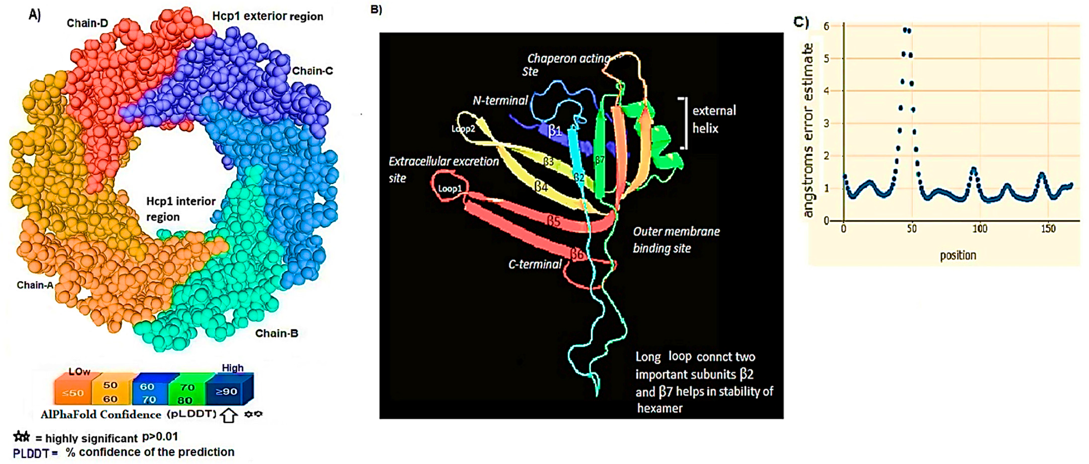 Figure 2: <p>This figure presents the predictions related to Hcp1 chains and their functional binding sites. (<strong>A</strong>) This section presents the Spacefile predictions for the Hcp1 chains within the T6SS of <em>A. baumannii</em>. The illustration demonstrates the identification of six distinct chains labeled A, B, C, D, E, and F, indicating that the assembly of the Hcp1 homohexamer in A. baumannii is a complex multi-component process. This process requires supplementary elements, including the N-terminal domain of the T6ssK proteins, which play a crucial role in the functioning of Hcp1. Notably, chains E and F are situated on the posterior aspect of the hexamer. (<strong>B</strong>) The modeling of the Hcp1 monohexamer was executed utilizing PyMOL on the Schr&ouml;dinger platform, revealing a structure characterized by eight &beta;-strands that create a compact &beta;-barrel, alongside a singular &alpha;-helix and an extended loop. These structural predictions originate from AlphaFold2 (AF2) analyses and were visualized using PyMOL within the Schr&ouml;dinger suite. (<strong>C</strong>) A depiction of the alterations in angstrom error related to the dihedral angles of amino acid side chains and their configurations that are essential for binding to the effector molecule. The conformational adjustments were examined using the RoseTTAFold program, which employs deep learning AI technology. The peak observed in the graph signifies fluctuations in dihedral angles at position 50 upon effector binding, providing an estimation of the model&rsquo;s minimum error.</p>
