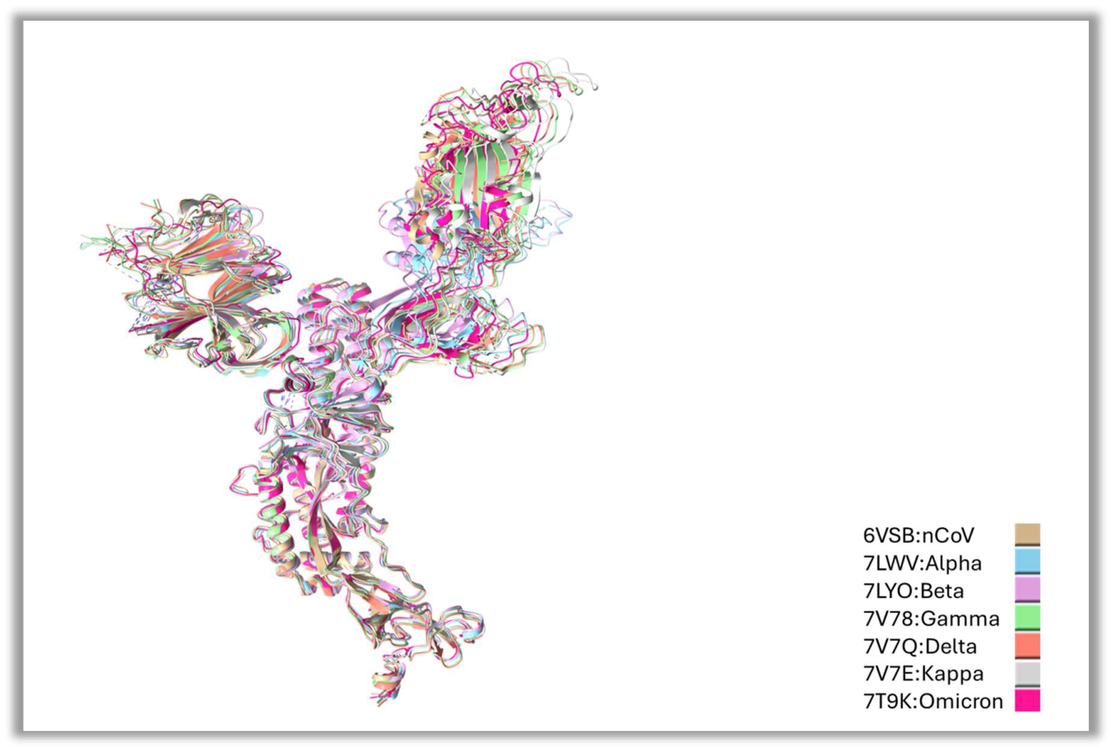 Figure 1: <p>Structural comparison by aligning residue to residue as a superimposition of the S protein of VOCs. VOCs have been marked in the color code key as shown in the bottom right of the above figure.</p>