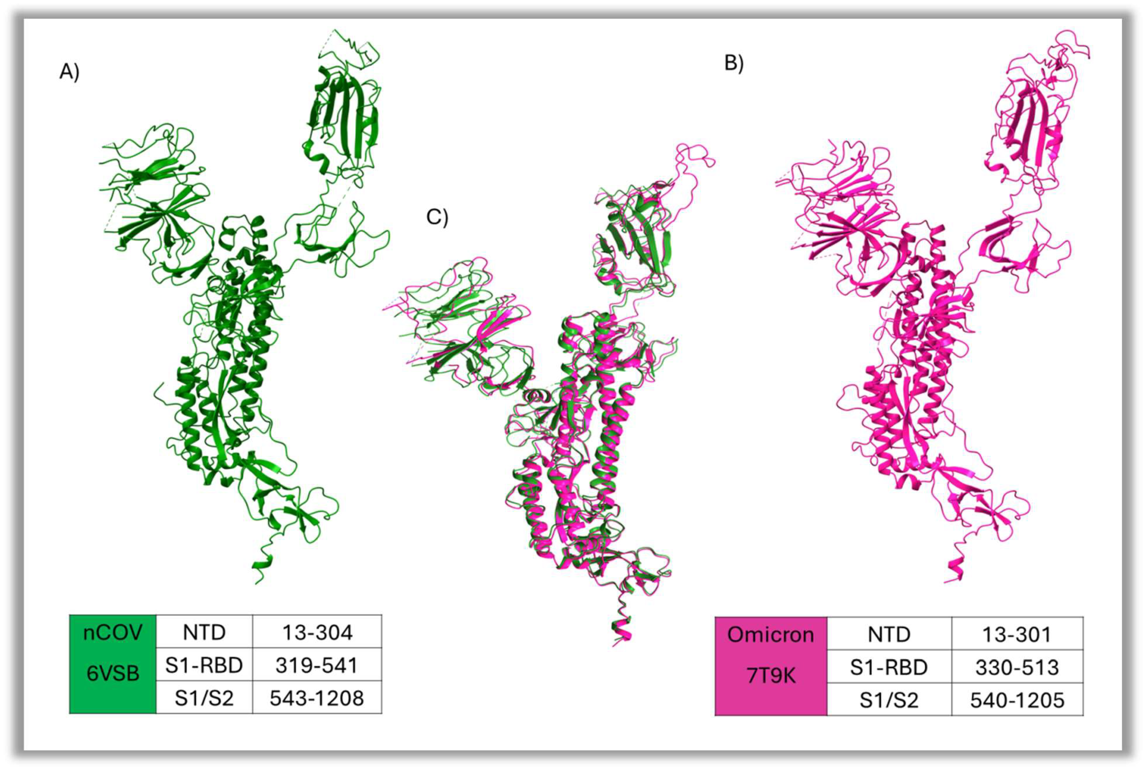 Figure 4: <p>Structural depiction of spike protein with its structural domain details, and structural comparison. (<strong>A</strong>) Represents the spike protein of nCoV (6VSB). (<strong>B</strong>): represents spike protein of Omicron (7T9K). (<strong>C</strong>) overlay of both structures within 2&Aring; RMSD. The structural domain comprising NTD, S1-RBD, and the S1/S2 region is described in the corresponding table at the bottom.</p>