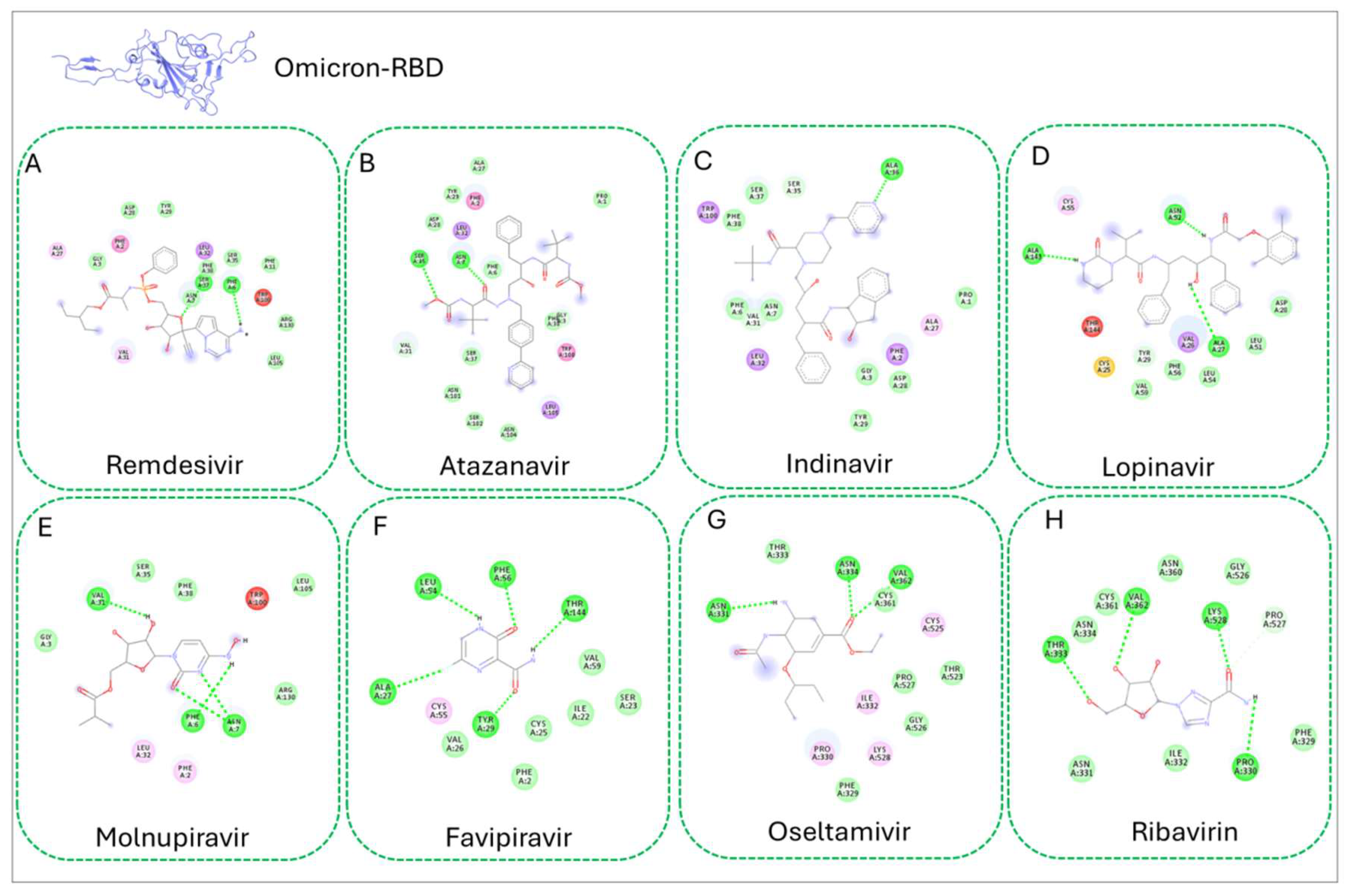 Figure 5: <p>Docking pose of the protein-ligand interaction of Omicron with selected drugs (<strong>A</strong>) Remdesivir, (<strong>B</strong>) Atazanavir, (<strong>C</strong>) Indinavir, (<strong>D</strong>) Lopinavir, (<strong>E</strong>) Molnupiravir, (<strong>F</strong>) Favipiravir, (<strong>G</strong>) Oseltamivir, (<strong>H</strong>) Ribavirin. H-bonds among the corresponding ligands are shown in the 2D interaction figures.</p>
