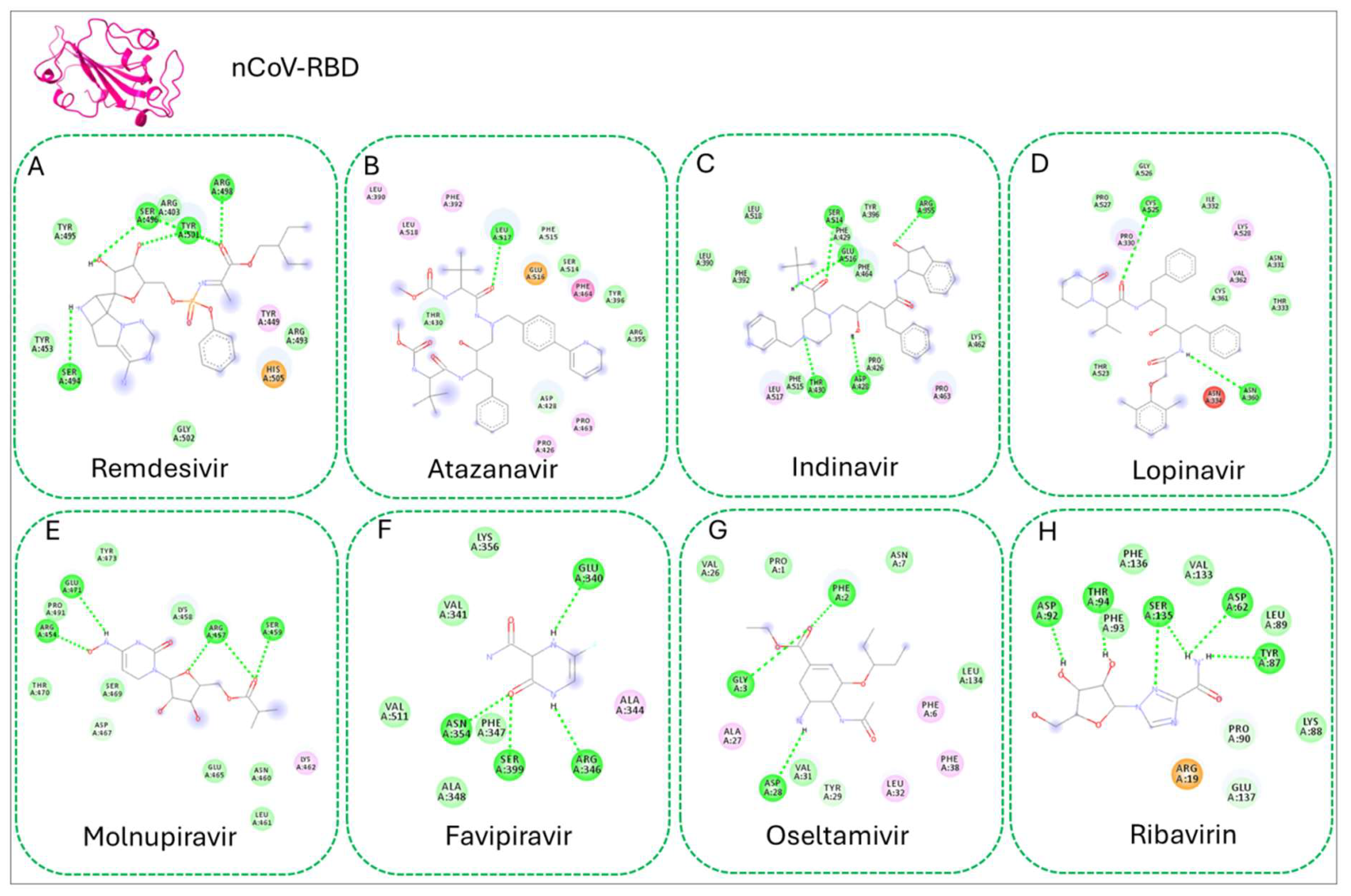 Figure 6: <p>Docking pose of the protein-ligand interaction of nCoV with selected drugs (<strong>A</strong>) Remdesivir, (<strong>B</strong>) Atazanavir, (<strong>C</strong>) Indinavir, (<strong>D</strong>) Lopinavir, (<strong>E</strong>) Molnupiravir, (<strong>F</strong>) Favipiravir, (<strong>G</strong>) Oseltamivir, (<strong>H</strong>) Ribavirin. H-bonds among the corresponding ligands are shown in the 2D interaction figures.</p>