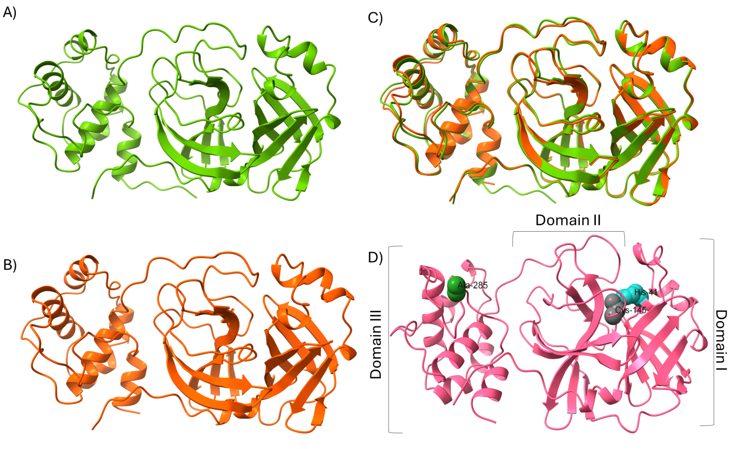 Figure 1: <p>Structural analyses of SARS-CoV-2 Mpro. (<strong>A</strong>) Depiction of a cartoon render of Mpro (WT), image generated from PDB 6Y2E, in a single unit by removing the existing ligand. (<strong>B</strong>) Depiction of a cartoon render of Mpro (Mutant), image generated from PDB 9AUK, in a single unit by removing the existing ligand. (<strong>C</strong>) Depiction of a structure overlay to compare similarity by alignment of residues with residues with an RMSD cutoff value of 2 &Aring;. (<strong>D</strong>) Depiction of a cartoon with marked vital residues present in domains.</p>