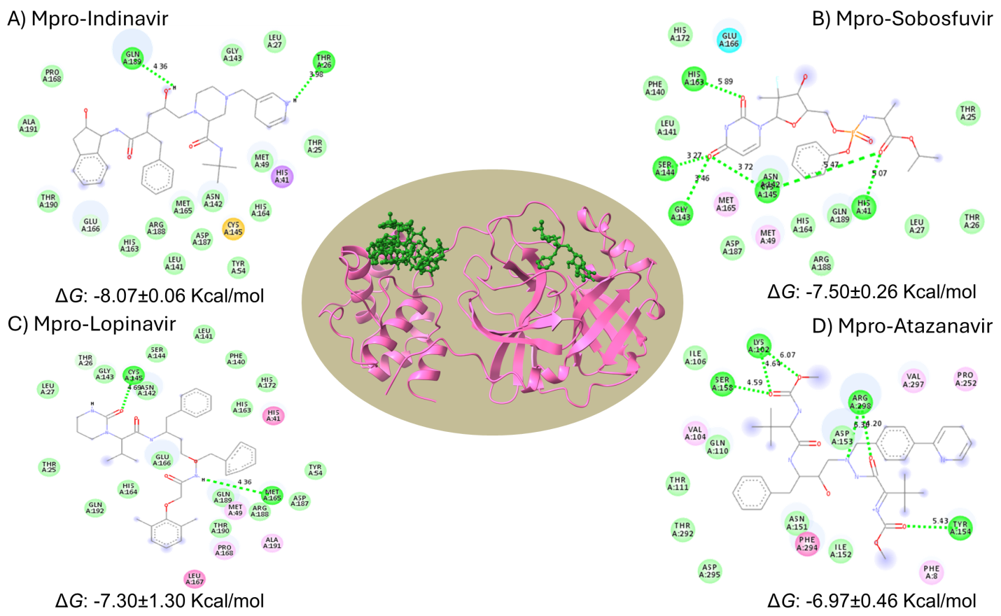 Figure 2: <p>Best-ranked docking pose of ligand-Mpro. The docking pose is marked with an H-bond and bond length. (<strong>A</strong>) 2D interaction of Mpro-Indinavir associated with H-Bond. (<strong>B</strong>) 2D interaction of Mpro-Sofosbuvir associated with H-Bond. (<strong>C</strong>) 2D interaction of Mpro-Lopinavir associated with H-Bond. (<strong>D</strong>) 2D interaction of Mpro-Atazanavir associated with H-Bond.</p>