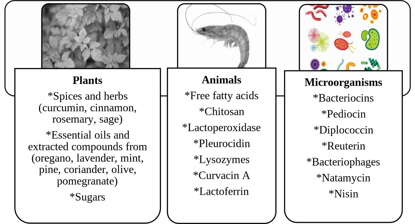 Figure 1: <p>Sources of natural antimicrobials derived from plants, animals, and beneficial microorganisms.</p>